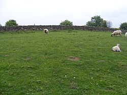 Site of Milecastle 23