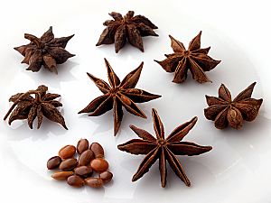 StarAnise