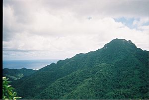 Te Rua Manga (The Needle) lookout