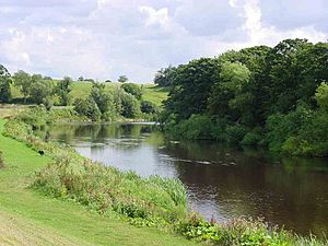 The Tees at Neasham