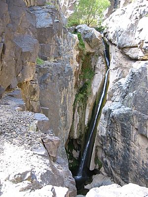 Upper Darwin Falls