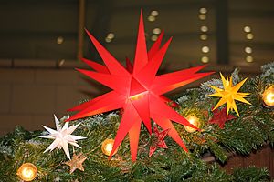 Weihnachtssterne. Chemnitz. IMG 7242WI