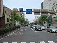 Willow-lined Streets of Niigata