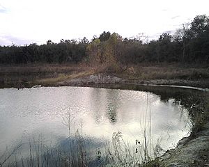 Addicks pond