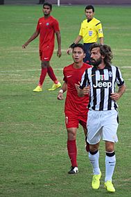 Andrea Pirlo 20140816