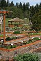 Bastyr University Garden