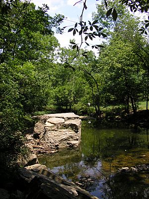 Big rock louisville 2