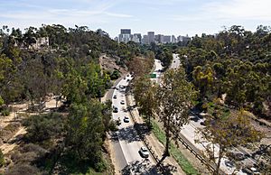 Cabrillo Freeway from Cabrillo Bridge