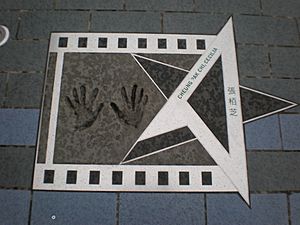 Cecilia Cheung, Avenue of Stars