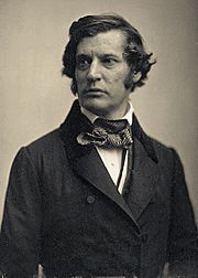 Charles Sumner by Southworth & Hawes c1850