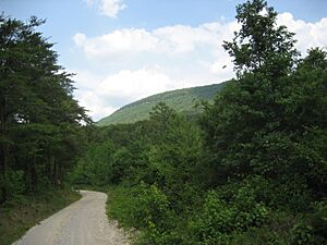 Cheaha from Kentuck