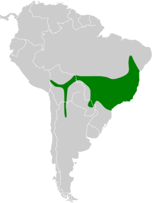 Colibri serrirostris map.svg