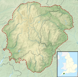 Vixen Tor is located in Dartmoor