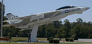 F14-National Museum of Naval Aviation