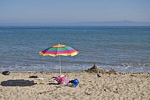 Goleta Beach (5972898584)