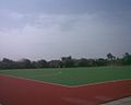 Hockey Turf Anna Stadium