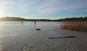 Ice skating on Norvikken