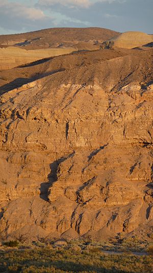 Lake Manix - canyon wall