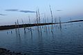 Manasquan Reservoir at Sunset