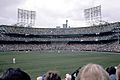 Metropolitan Stadium 1981