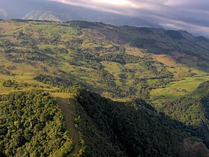 Montañas de Monterrey