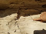 Pfeifer Shale thin bentonite marker seam below the Fencepost limestone 20171230