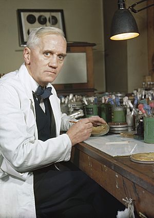 Synthetic Production of Penicillin TR1468.jpg