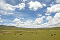 Tibet landscape