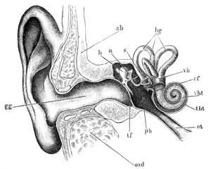 Tidens naturlære fig40