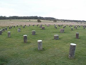 Woodhenge 4 DB.jpg