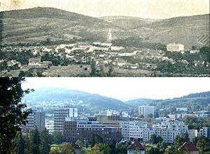 Zlin 1898 2019 comparison