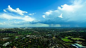 A Johannesburg Summers Day