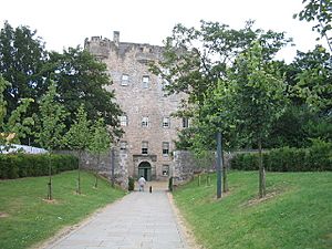 Alloa Tower