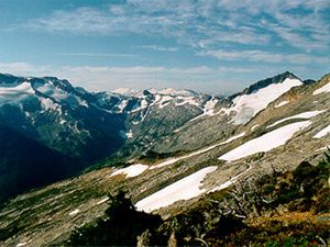 Alpine tundra