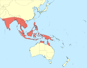 Archibasis probable distribution map.svg