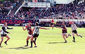 Aussie rules wikipedia