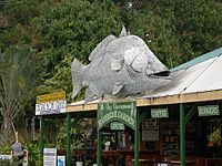 Big barra daintree.jpg