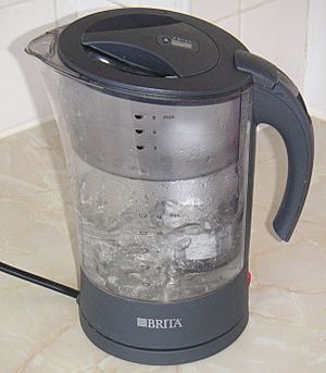 Brita kettle.jpg