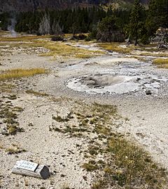 Bulger Geyser cone UGB YNP1.jpg