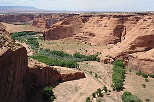 Canyon de Chelly 7-27-09 (2)