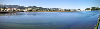 Estuario del Río Miñor.jpg