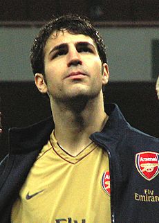 Fabregas newcastle emirates