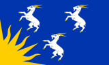 Flag of Merionethshire