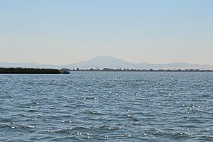 Franks Tract in Sacramento–San Joaquin River Delta with Mount Diablo in background