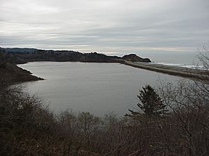 Freshwater Lagoon California.JPG