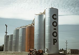 Grain elevators Caldwell Idaho fsac.1a34206u