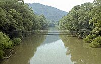 Guyandotte River