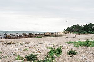 Hammonasset Beach State Park I