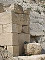 Herod IMG 0594