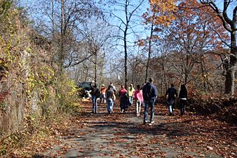 Hiking Road